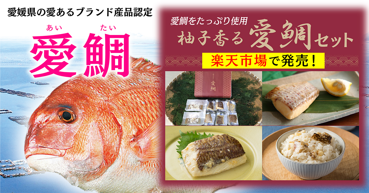 Mq鈤ZbgiZbgj